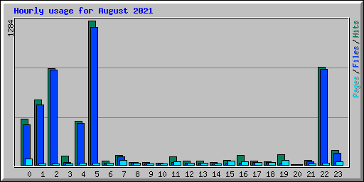 Hourly usage for August 2021